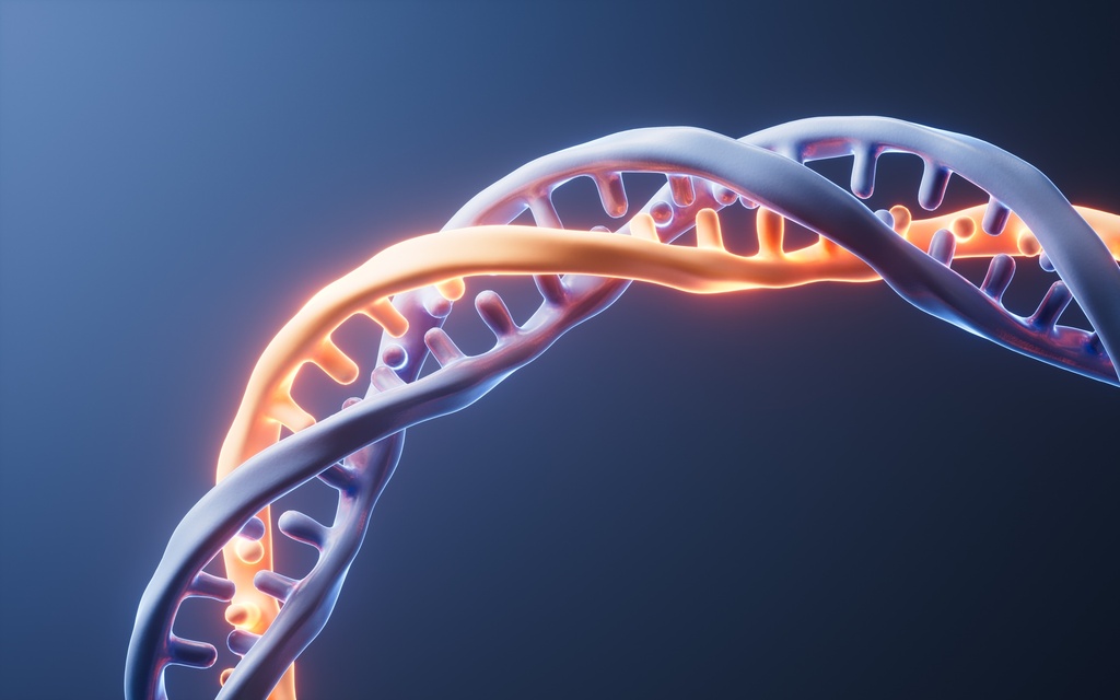 Análisis de portadores en pareja (2 personas)