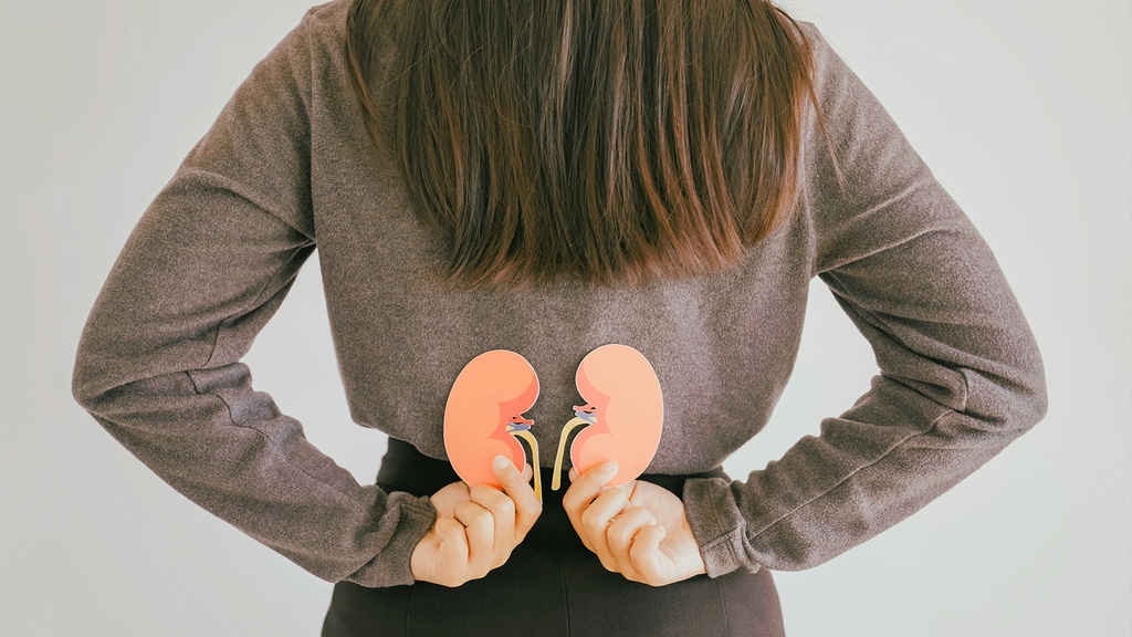 Perfil Renal Básico